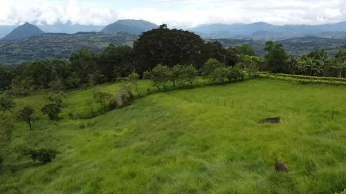 Finca En Venta En Támesis. Cod V12277