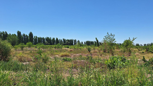 Finca-terreno En Venta En Guaymallén Pozo Surgente De Agua Apta Para Consumo