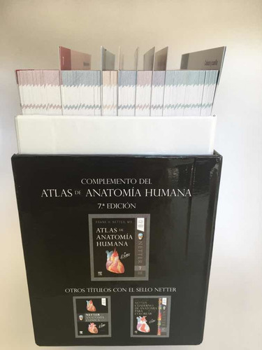 Netter Flash Card De Anatomia 5a Ed Originales Y Nuevas