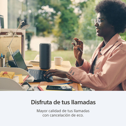 Parlante Bluetooth Portatil Sony Srs-xe300 Inalambrico Color Negro