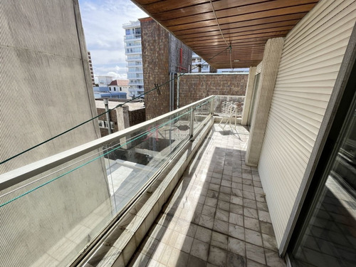 Imagen 13 de 29 de Terraza, Edificio Bajo