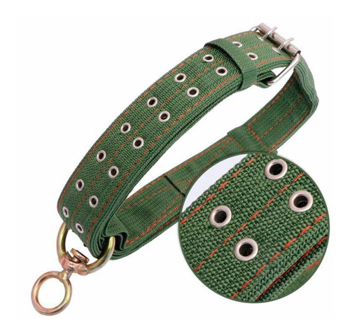 Collar De Lona Para Grandes Mascotas 78cm Maxima Resistencia