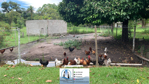 Imagem 9 de 16 de Chácara Em Parque Nossa Senhora Da Ajuda, Guapimirim/rj De 200000000m² 3 Quartos À Venda Por R$ 560.000,00 - Ch2162737-s