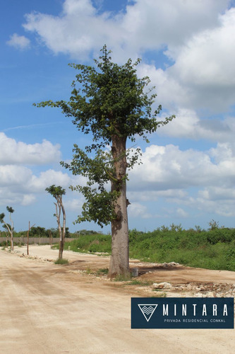 Terreno En Privada En Conkal