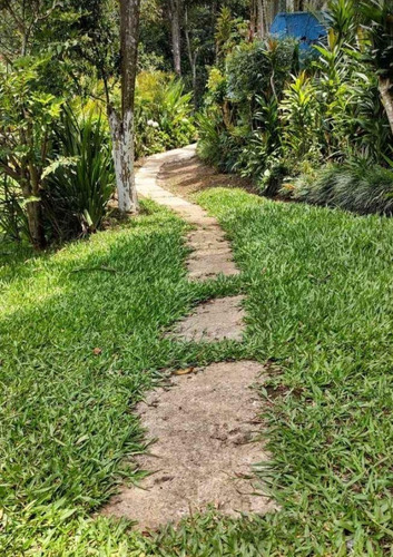 Imagem 6 de 19 de Pj Chácara A Venda Em Suzano