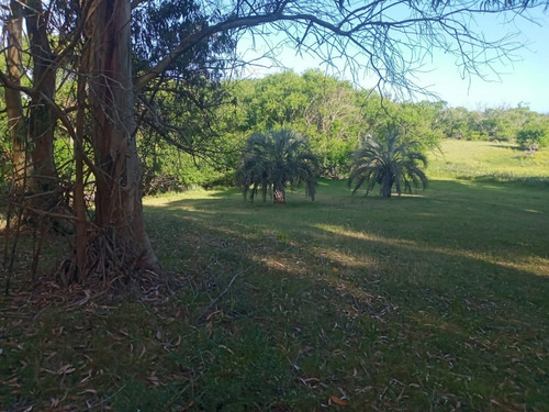 Chacra En Oportunidad Zona Jose Ignacio - Ref: 217418