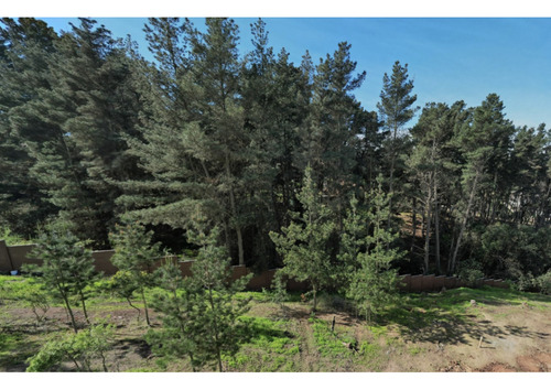 Proyecto Único En Los Pinos, Reñaca