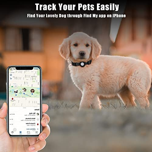 Collar De Perro Con Etiqueta De Aire, Collar De Perro Con Et
