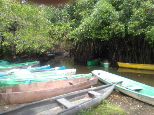 Terreno En Venta Poblado San Geronimo