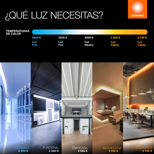 Tira Led Prime Flex 12w 24v 5m Uso Exterior Ledvance Osram Color De La Luz Blanco Cálido