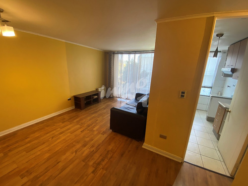 Lindo Departamento En Calle Gabriela Mistral