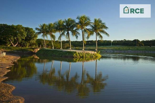 Terreno À Venda, 750 M² Por R$ 67.000,00 - Macaíba - Macaíba/rn - Te0061