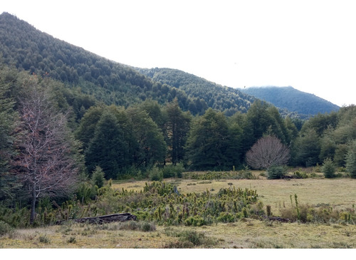 Refugio Llaima: Desde 5000m2 A Orillas Del Río Huichahue