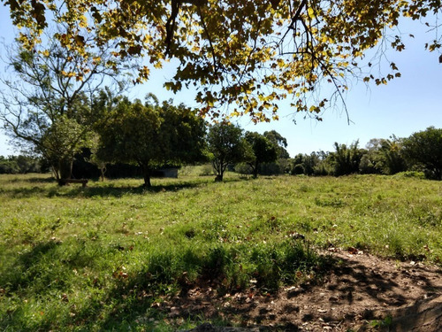 Chácara 20.000 M² - Costa Do Ipiranga - Gravataí - Rs - 1757 - 32430255