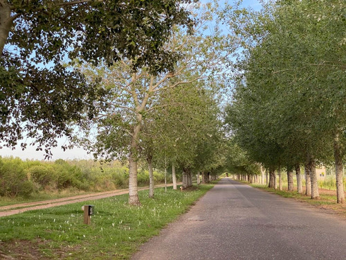 Terreno En Oliveros - Campo Timbo / Hermoso Entorno Natural - Entrega Inmediata