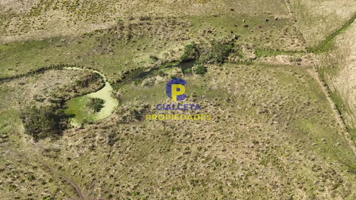 3 Hectáreas En Migues Con Aguada Y Linda Vista