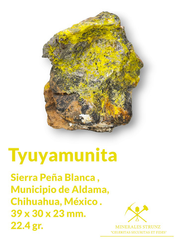 Mineral Radioactivo Mineral Uranio Raro Tyuyamunita #4 (Usado)