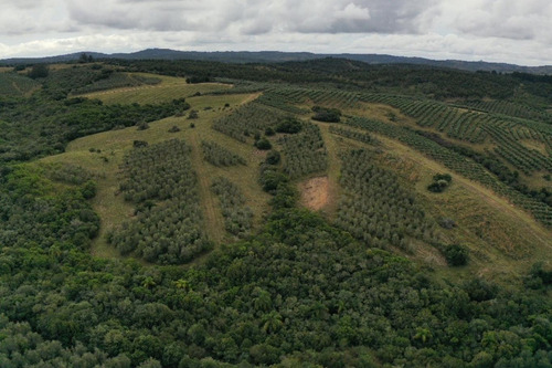 Imagen 20 de 30 de Campo Ovicola En Garzon - 212 Hectareas