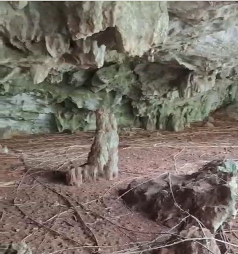 Increíble Terreno Con Cenotes En Venta Rodeados De Naturaleza En Valladolid, Ideal Para Desarrollador