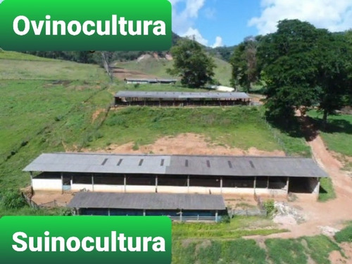 Imagem 3 de 15 de Fazenda, Para Venda Em Fervedouro/mg - Coffeefarm730