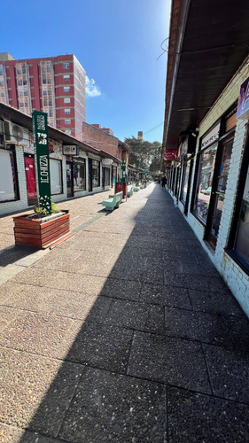 V130 - Local Comercial En Galeria Paseo Del Centro - Local 16