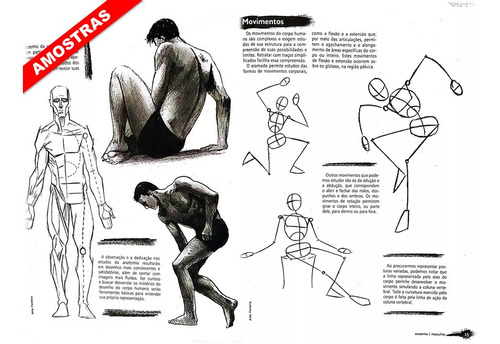 Guia Curso De Desenho Anatomia Masculina E Crianças