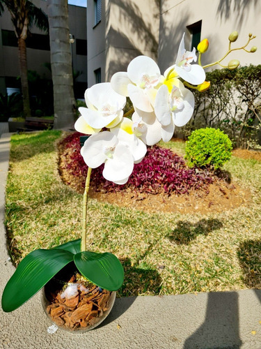 Arranjo De Orquídea Branca De Silicone No Vaso Vidro | Parcelamento sem  juros