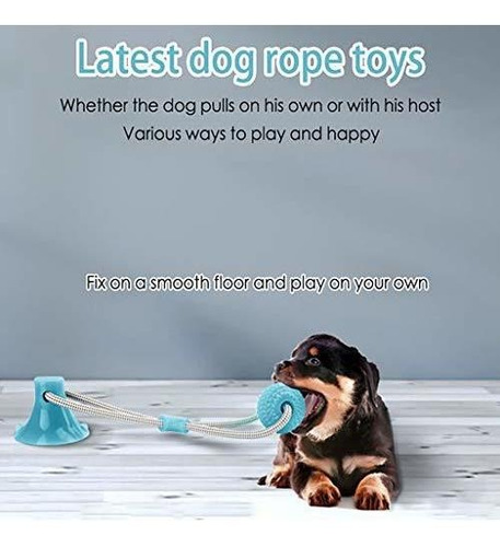 Wxhny Dog Rrtoys Suministros Para Mascotas Juguetes Interact