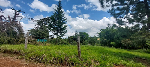 Venta Lotes En Parcelacion Los Pinos -cajibio - Popayan