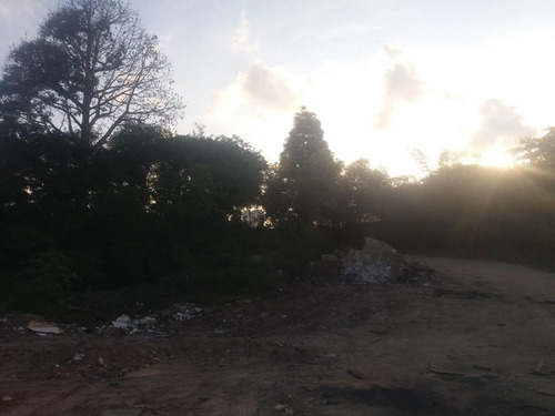 Imagem 7 de 11 de Vende Terreno Br101 Norte - Te0167