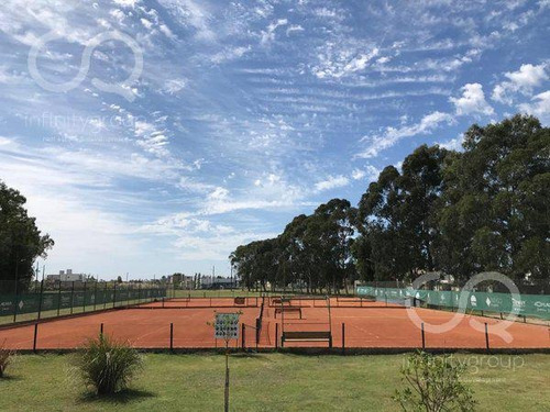 Imagen 4 de 6 de Terreno - Santa Ines