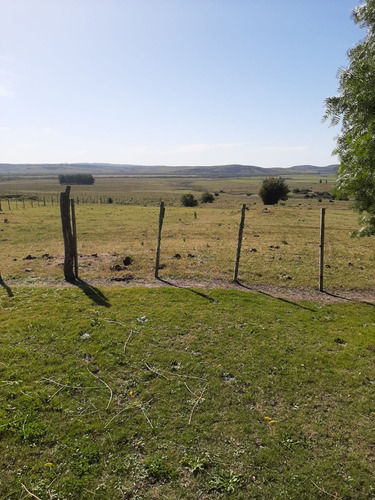 Campo De 397 Has - Maldonado, Aiguá