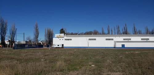 Imagen 9 de 10 de Alquilo Galpón 2000 M2 70 M2 Ofi Y Predio 1 Has Cipolletti