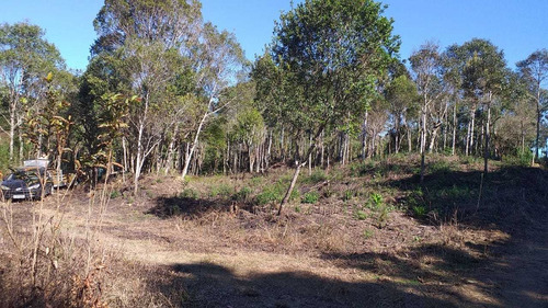 Imagem 11 de 11 de 3.630 M2 Chacara Para Formação