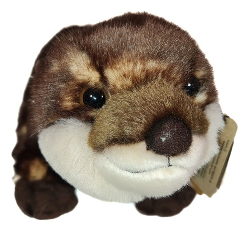 Peluche Castor
