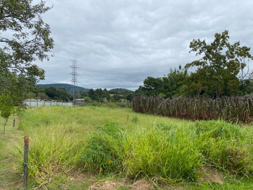 Chácara 2.500 M² - Morungava - Gravataí - Rs - 2499 - 69232388