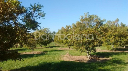 Imagen 22 de 25 de Terreno Campo En Venta Ubicado En Punta Indio, Resto De La Provincia