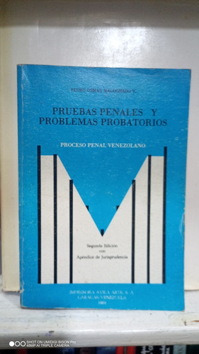 Pruebas Penales Y Problemas Probatorios. Pedro Maldonado