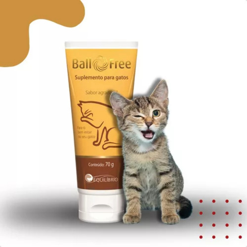 Ball Free Pasta Oral 70 Gramas