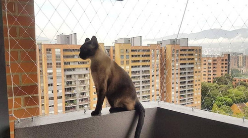 Malla De Seguridad Para Gatos Invisible Instalación Incluida