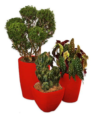 Kit 3 Vaso Polietileno Variados Planta Decoração Jardim Cd40 Cor Vermelho