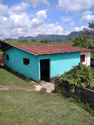 Imagen 19 de 23 de Finca Productivo En Tachira