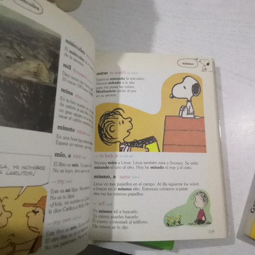 Gran Diccionario De Carlitos (charlie Brown) Ingles-español. (Usado)