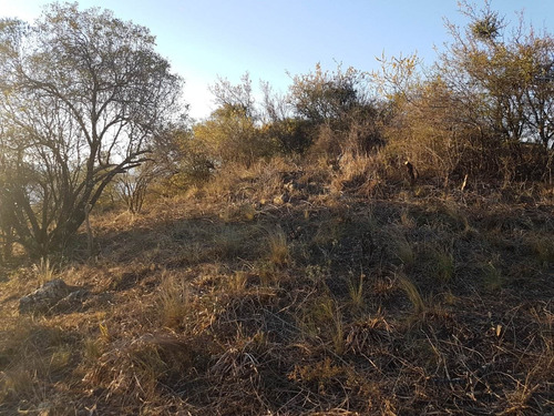 Imagen 3 de 4 de Terreno A La Venta En Costa Azul