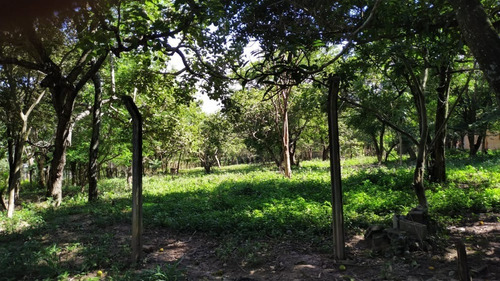 Imagem 6 de 7 de Chácara À Venda, Prata - Sao Goncalo Do Para/mg - 31522