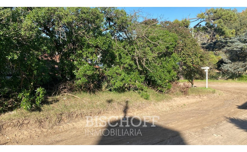 Venta De Lote En Ostende Calle Moreno