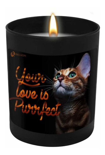 Your Love Is Purrfect Valentines Day Vela Vertida A Man...