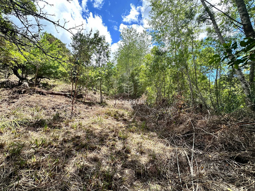 Terreno En Arique Ruta A Valdivia (133760)