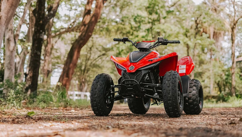 Quadriciclo Cfmoto Cforce 110 Lv 4 Tempos
