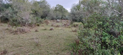 Campo En Carape Son 42 Hs 2293 M2